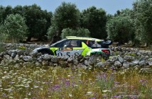 Alessandro Bosca, Roberto Aresca (Citroen DS3 Wrc #4, Eurospeed)