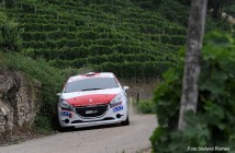Moscato_Caramellino_Romeo_2SR_4711 (Custom)