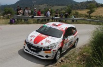 Giuseppe Testa, Emanuele Inglesi (Peugeot 208 VTI #19, Winners Rally Team)