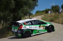 Lorenzo Della Casa, Michele Ferrara (Ford Fiesta WRC #8, New Turbomark)