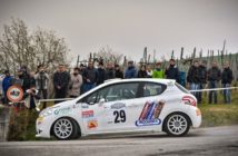 rally-del-piemonte-2015_giordano-simone-custom
