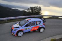 Corrado Fontana, Nicola Arena (Hyundai I20 WRC #2, Bluthunder Racing Italy)