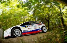 Giuseppe Testa, Massimo Bizzocchi (Ford Fiesta WRC #6)
